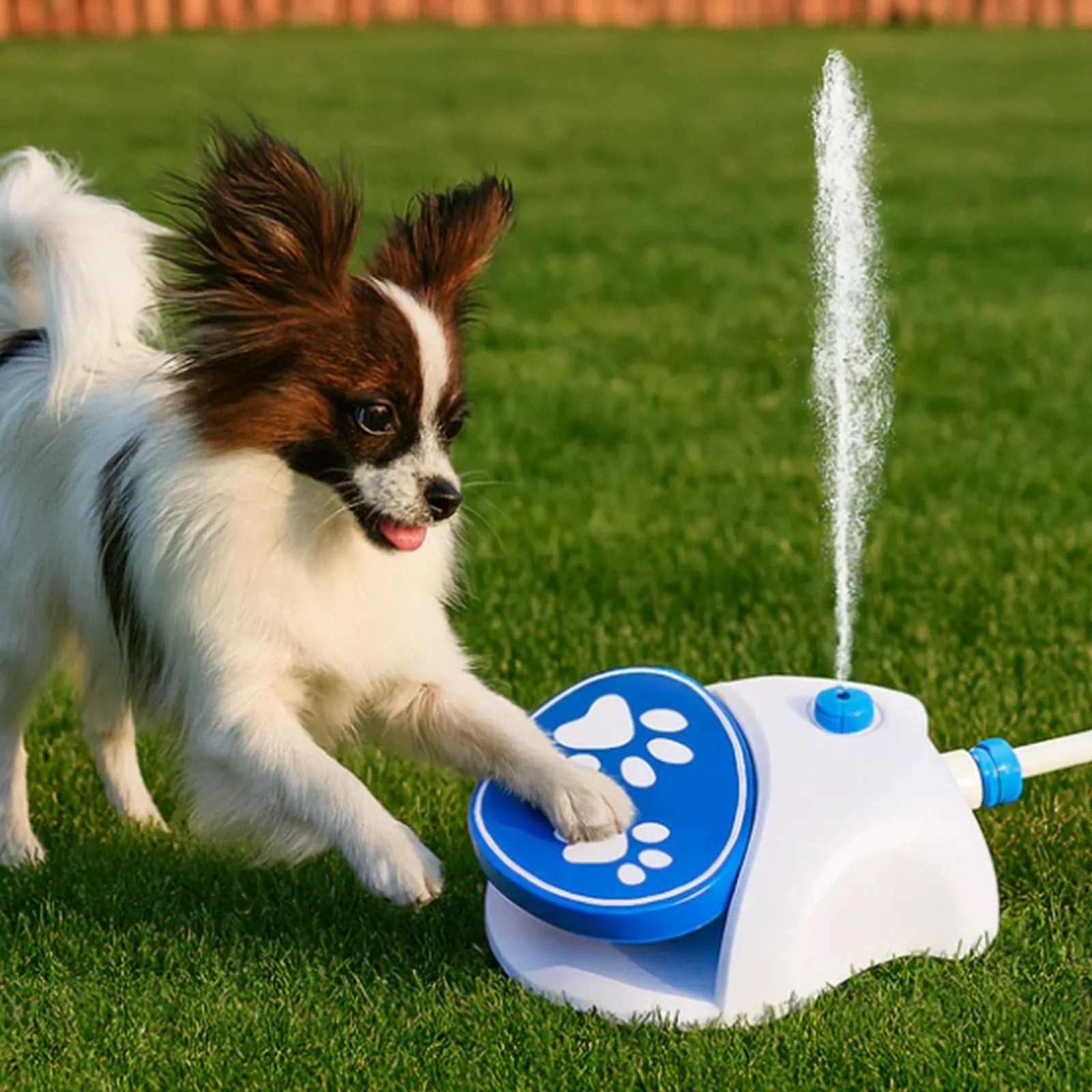 Step On Dog Water Dispenser