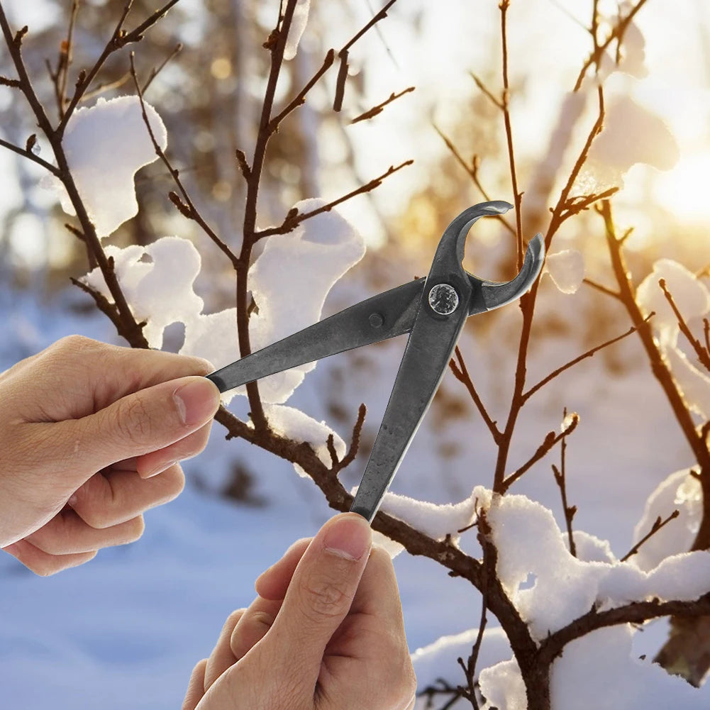 Gardening Maintenance Tools
