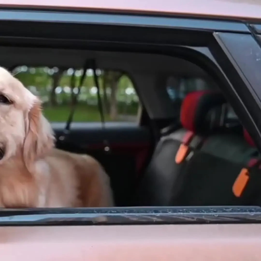 Pet car seat cushion