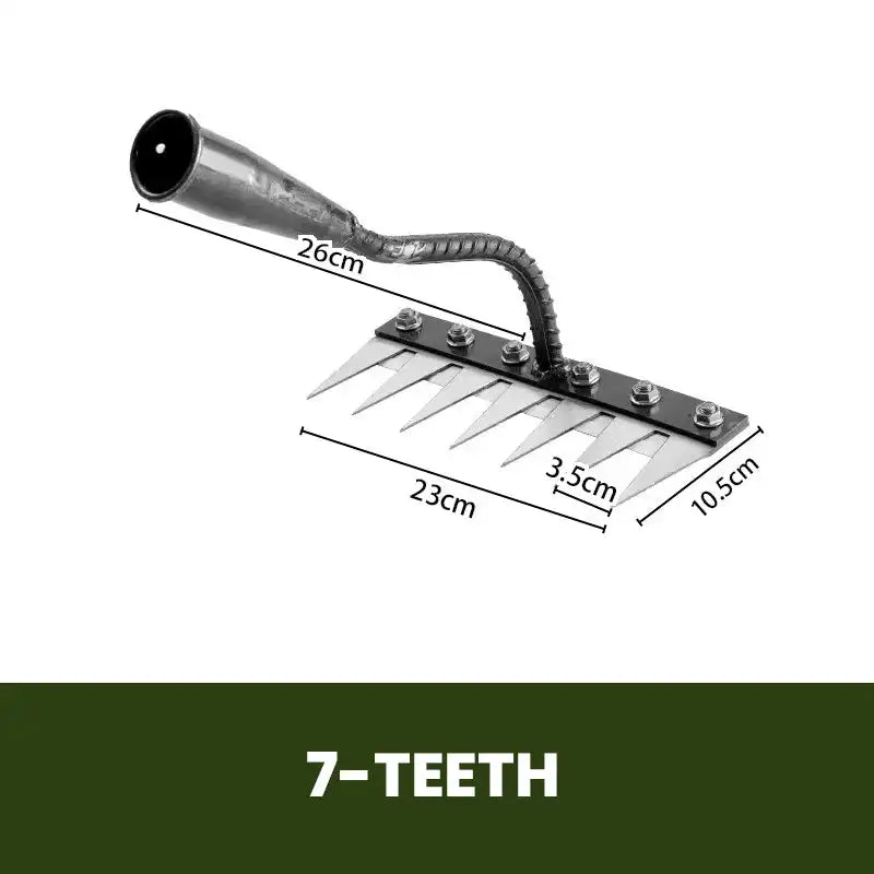 7 Teeth