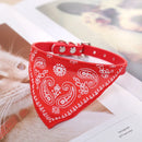 Dog Collar with Scarf