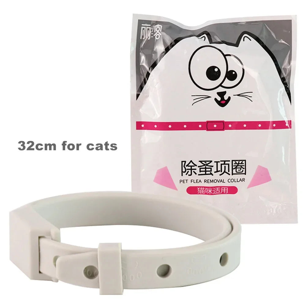 32cm for cat