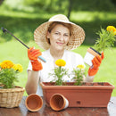 Hand Weeder Tool