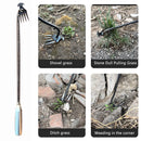 Hand Weeder Tool