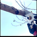 Heavy-Duty Carbon Steel Pruning Shears