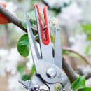 Double-edged Apple Picking Scissors