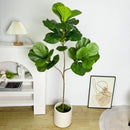 70/135cm Artificial Ficus Tree