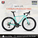 Carbon Fiber Road Bike