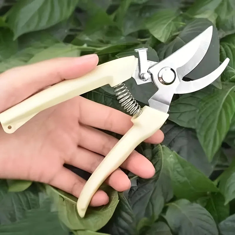 Stainless Steel Fruit Picking Shears