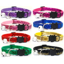 2024 Cat Collar