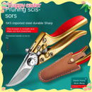 High-Carbon Steel Pruning Shears