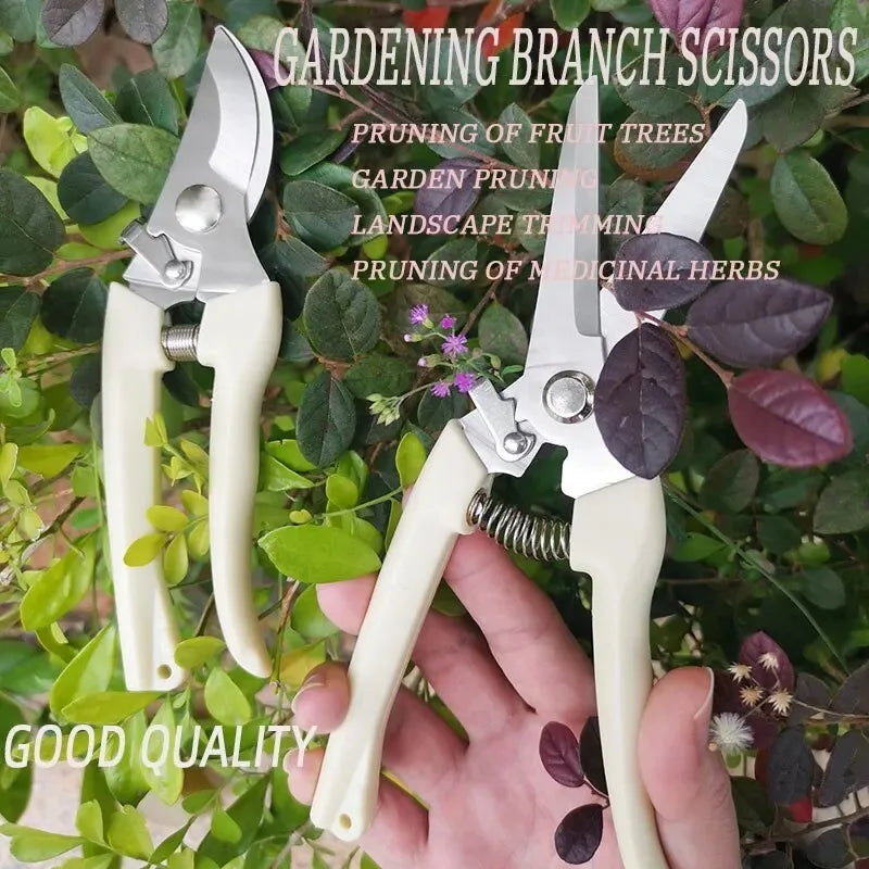 Stainless Steel Scissors