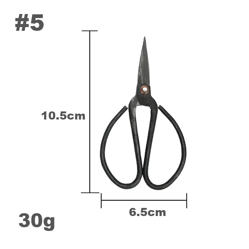 scissors 5