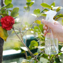 Hand Trigger Spray Bottle
