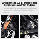 Full Carbon Fiber Road Bike