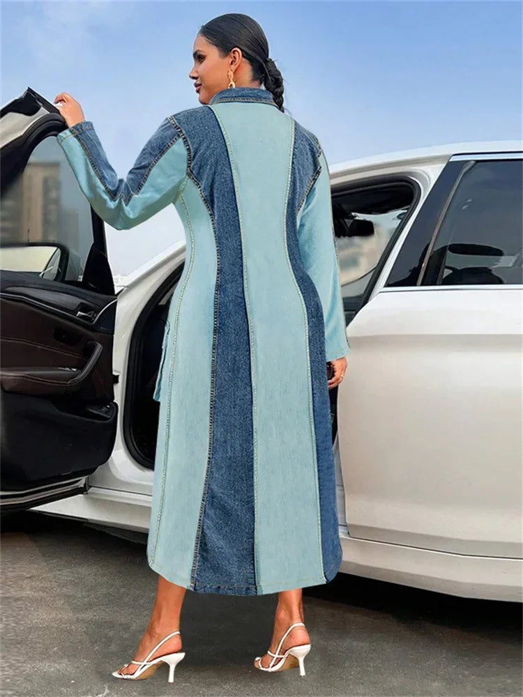 Women's Plus Size Denim Dress