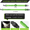 Pet Car Seat Belt
