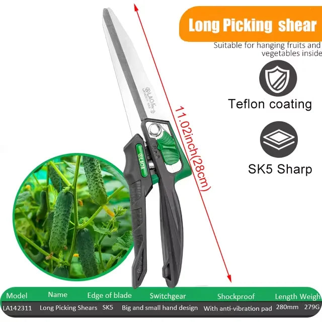 Long straight mouth