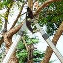Steel Knife Anvil Shears