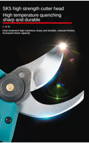 Electric Pruning Shears