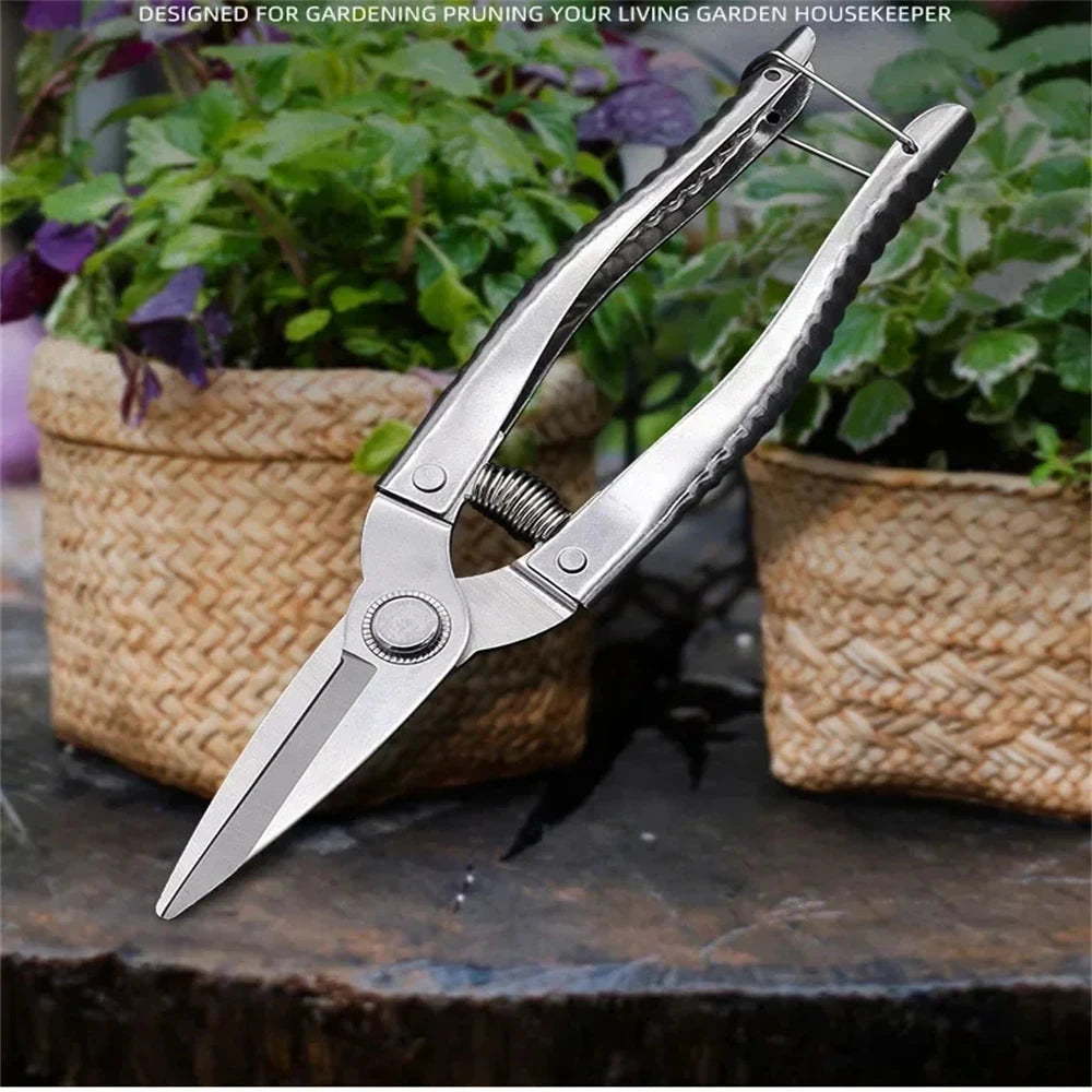 Stainless Steel Scissors