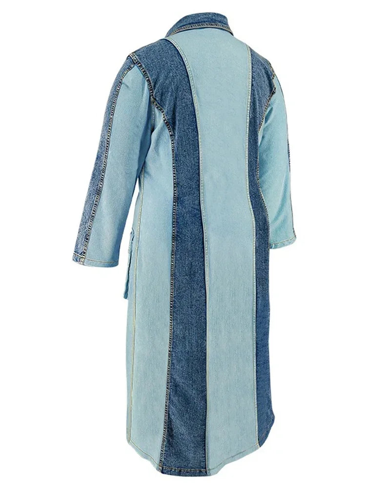 Women's Plus Size Denim Dress