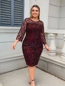 Women's Plus Size Lace Sequin Mesh Sleeve Bodycon Dress