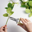 Pruning Garden Scissors