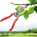 Double-edged Apple Picking Scissors