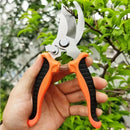 Stainless Steel Professional Gardening Shearing