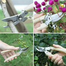 Stainless Steel Scissors Set