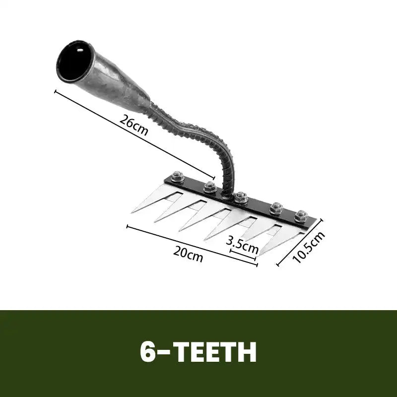 6 Teeth