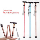 Multifunction Walking Stick