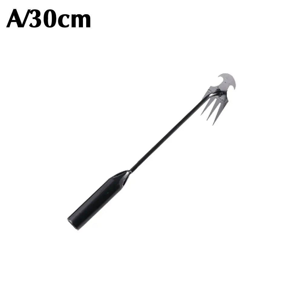 30cm