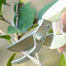 Stainless Steel Fruit Picking Shears