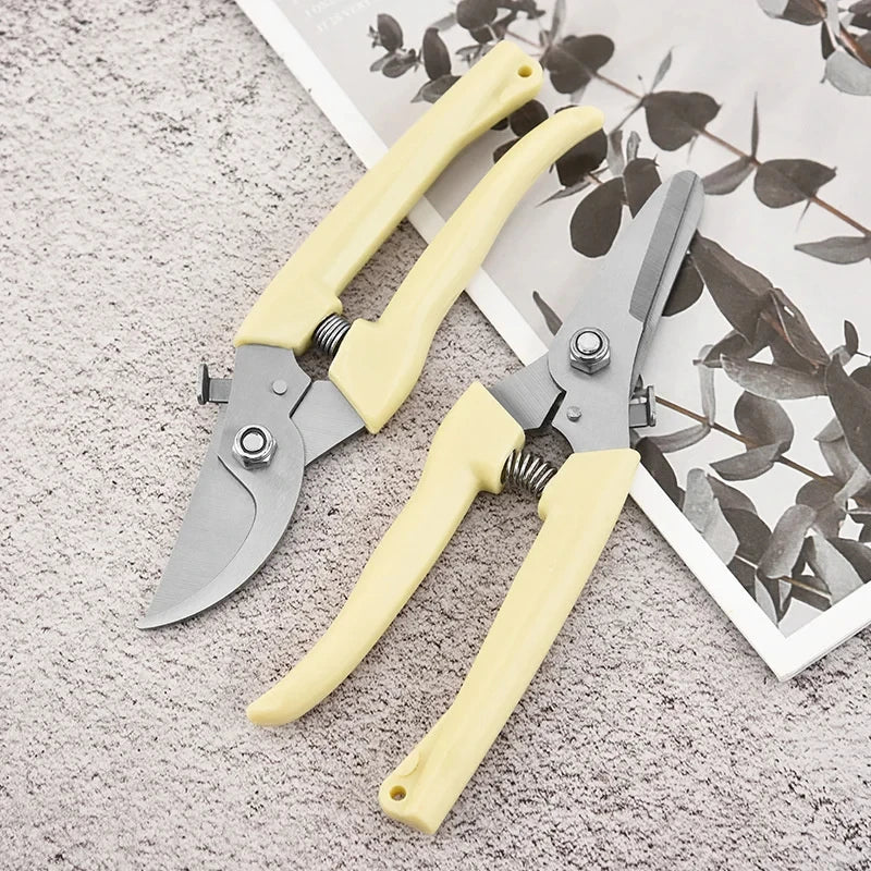 Stainless Steel Scissors Set