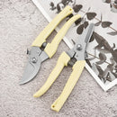 Stainless Steel Scissors Set
