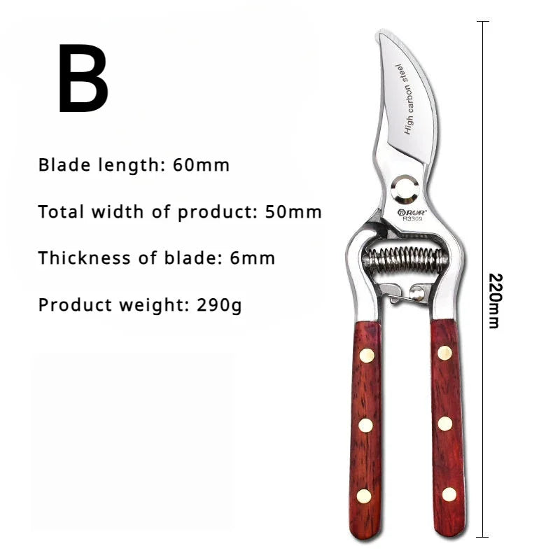 B