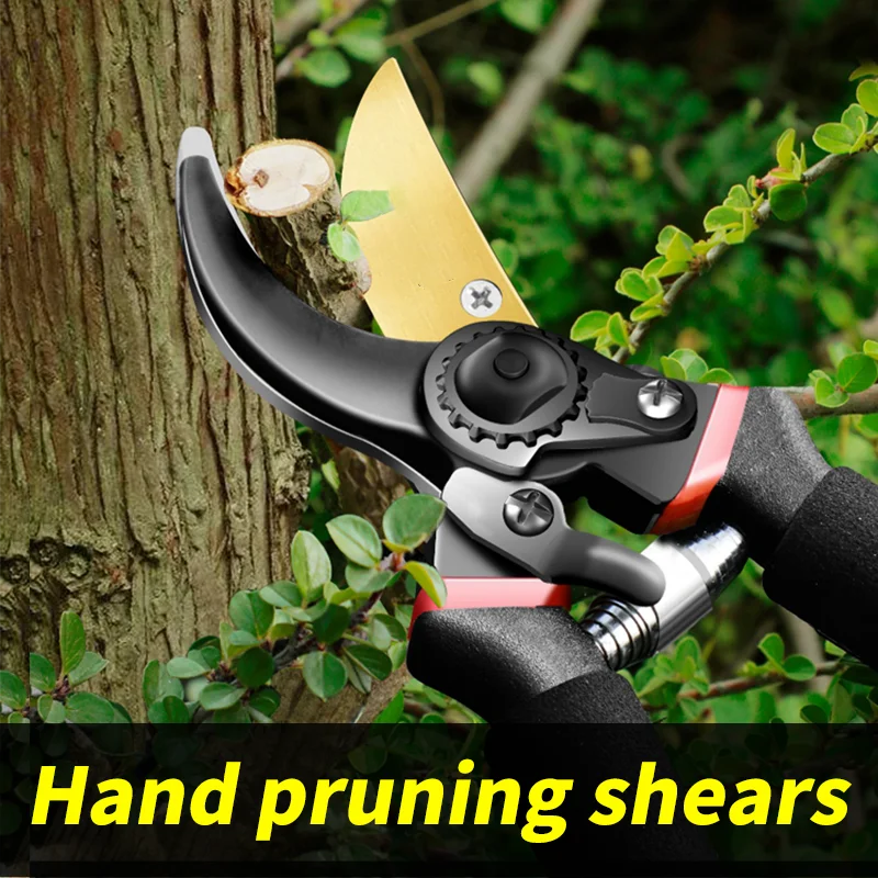 1 Pruning Shears