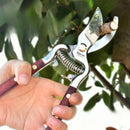 8 Inch Wood handle pruner Shears