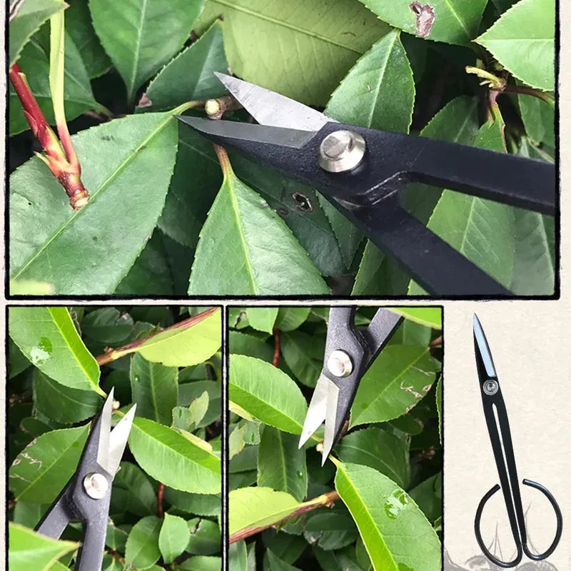 Steel Long Handle Scissors