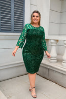 Women's Plus Size Lace Sequin Mesh Sleeve Bodycon Dress